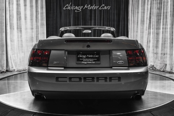 Used 2003 Ford Mustang SVT Cobra Convertible KENNE BELL! 600+ WHP! 6-Speed Manual! Collectible Example! for sale Sold at Chicago Motor Cars in West Chicago IL 60185 4