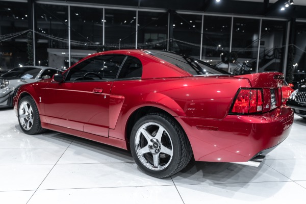 Used 2004 Ford Mustang SVT Cobra Coupe Terminator! ONLY 14k Miles! 6-Speed Manual! Collector Condition! for sale Sold at Chicago Motor Cars in West Chicago IL 60185 3