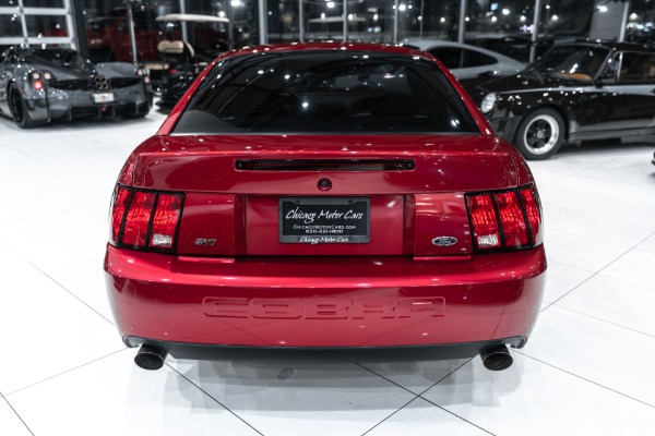 Used 2004 Ford Mustang SVT Cobra Coupe Terminator! ONLY 14k Miles! 6-Speed Manual! Collector Condition! for sale Sold at Chicago Motor Cars in West Chicago IL 60185 4