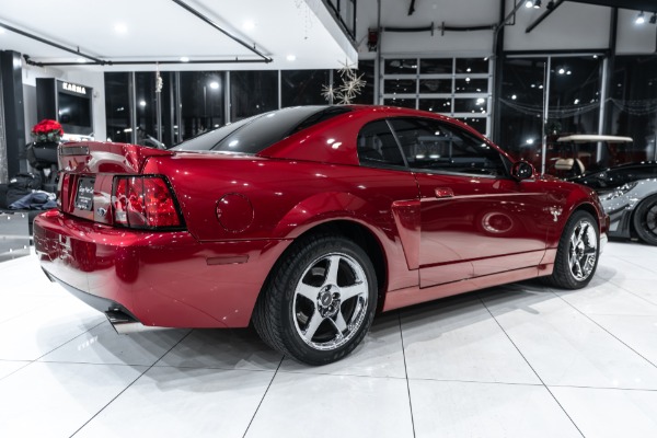 Used 2004 Ford Mustang SVT Cobra Coupe Terminator! ONLY 14k Miles! 6-Speed Manual! Collector Condition! for sale Sold at Chicago Motor Cars in West Chicago IL 60185 5