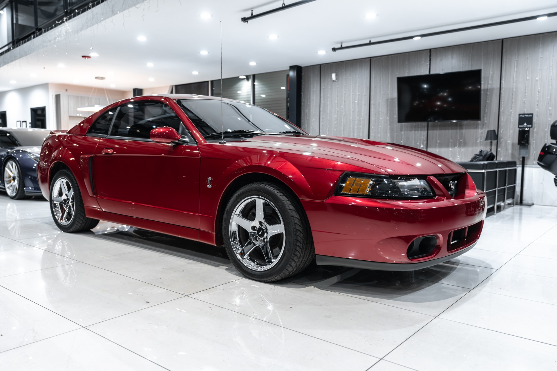 Used-2004-Ford-Mustang-SVT-Cobra-Coupe-Terminator-ONLY-14k-Miles-6-Speed-Manual-Collector-Condition