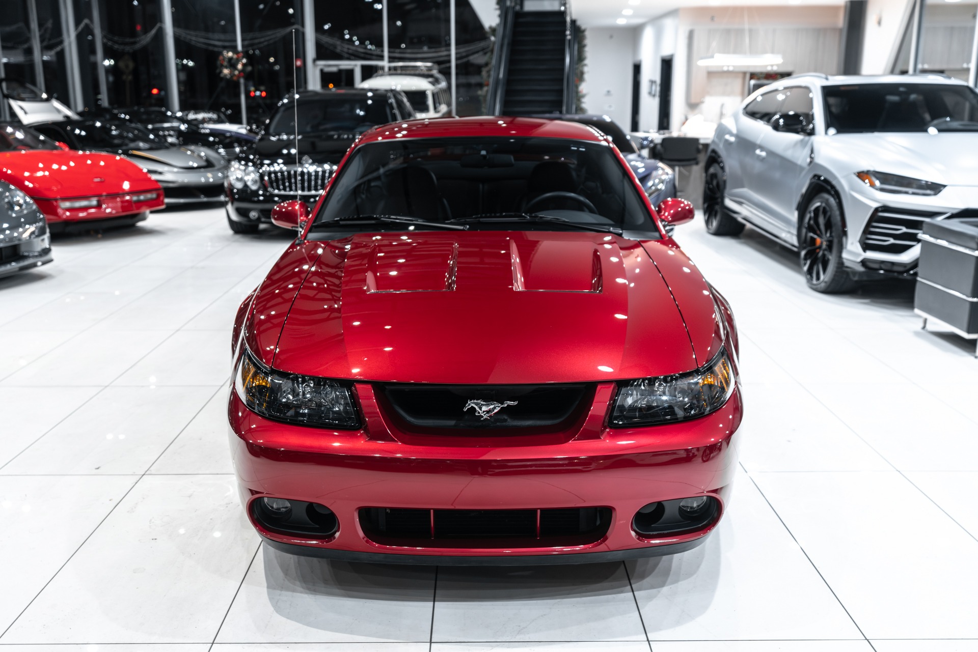 Used-2004-Ford-Mustang-SVT-Cobra-Coupe-Terminator-ONLY-14k-Miles-6-Speed-Manual-Collector-Condition