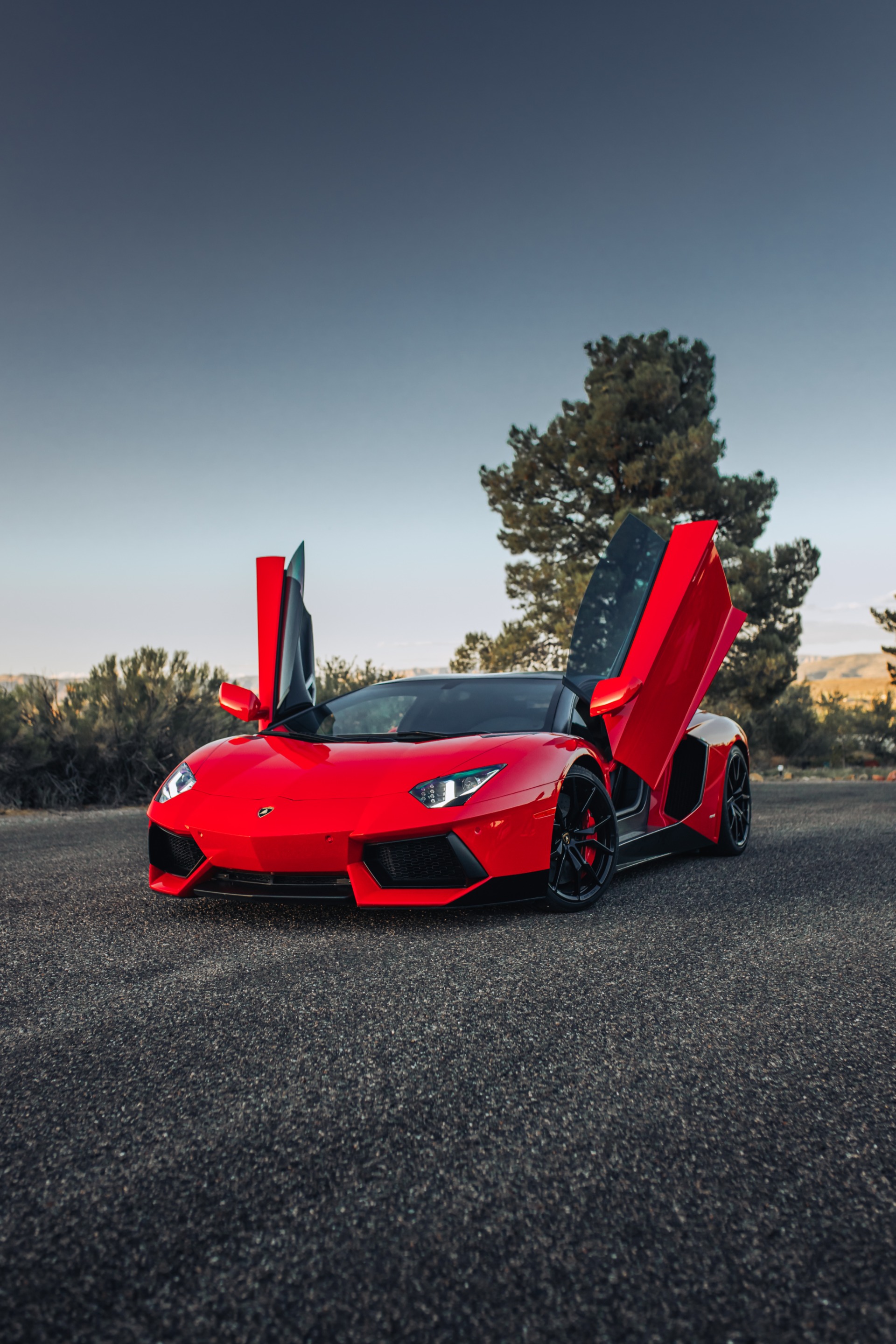 2013 LAMBORGHINI AVENTADOR - Image 3