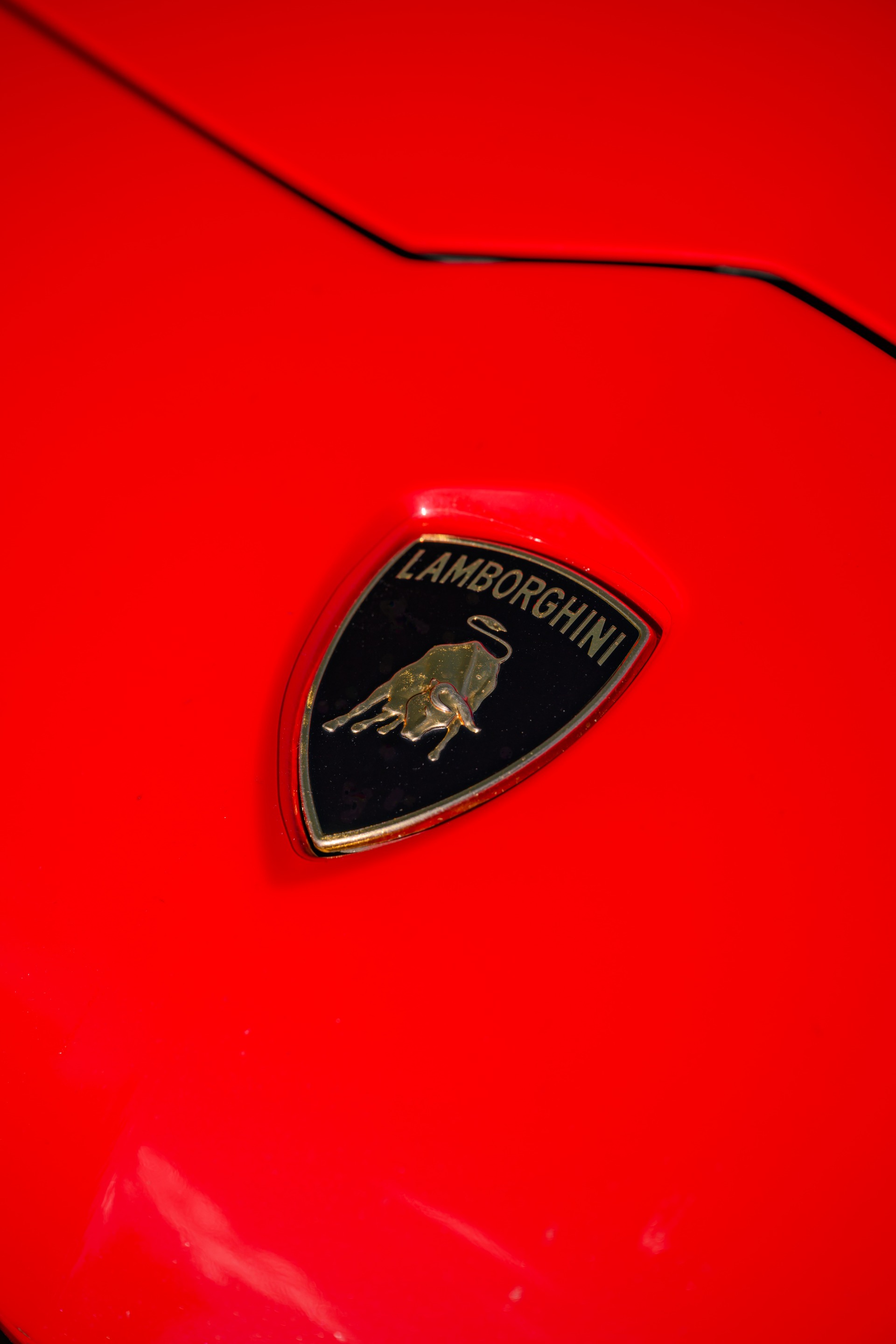 2013 LAMBORGHINI AVENTADOR - Image 34