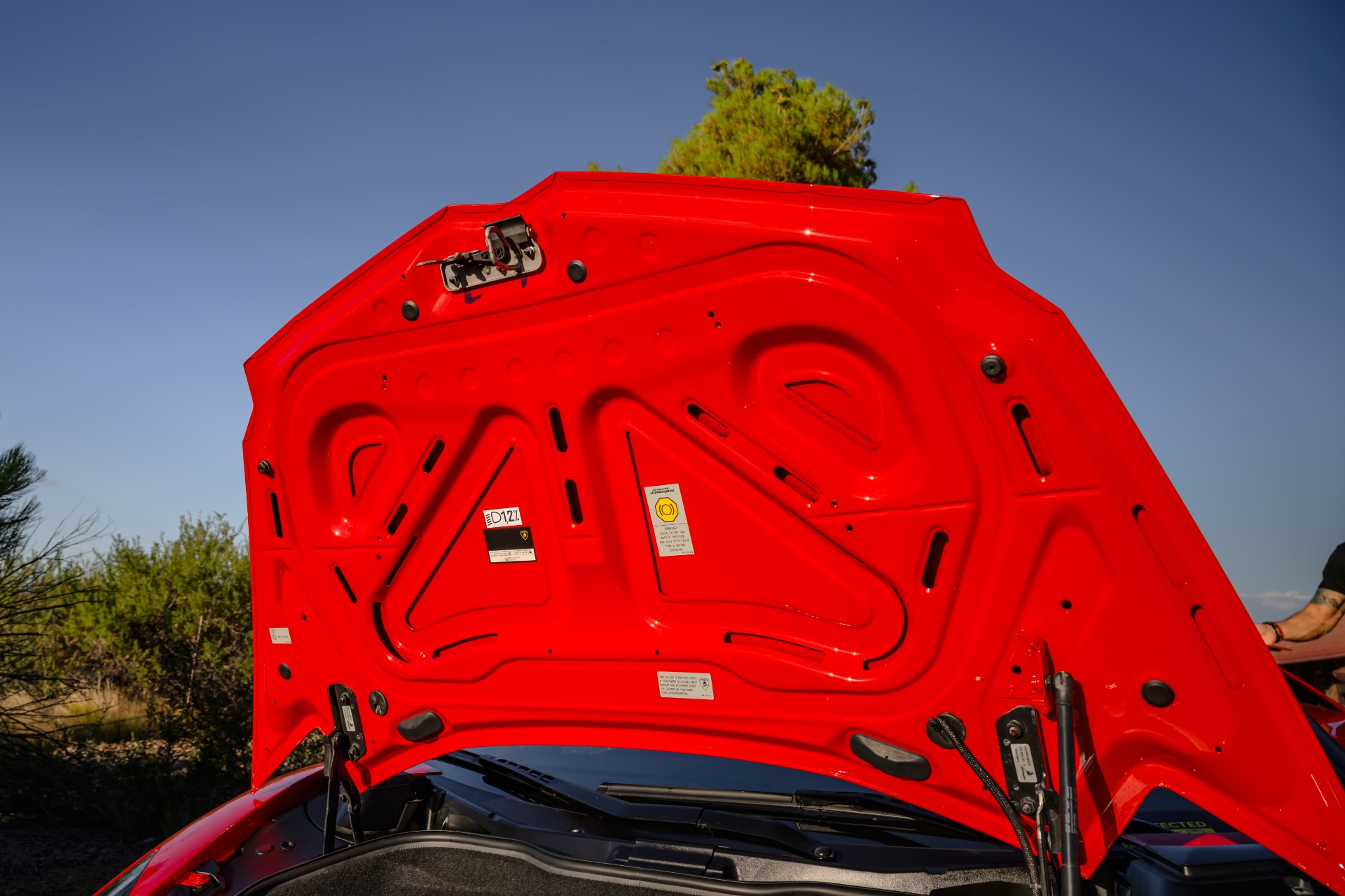 2013 LAMBORGHINI AVENTADOR - Image 36