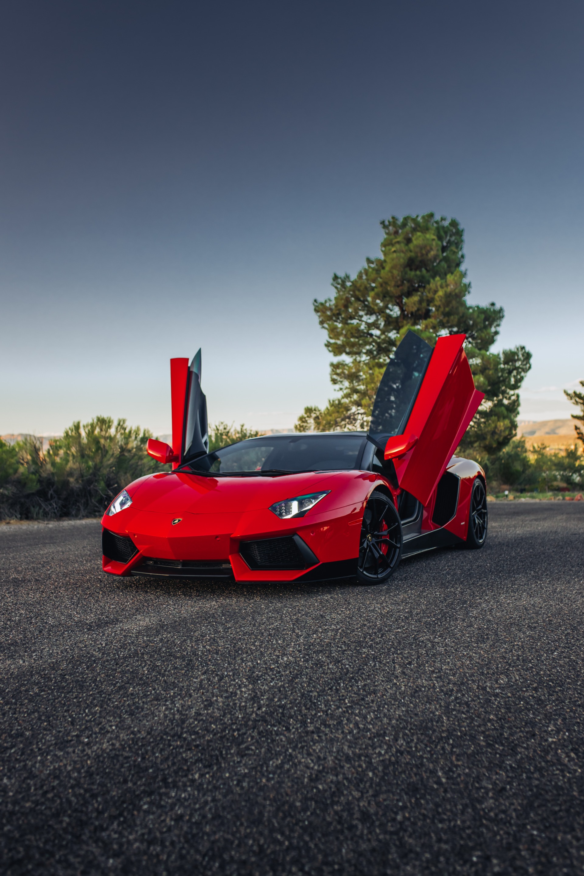 2013 LAMBORGHINI AVENTADOR - Image 4