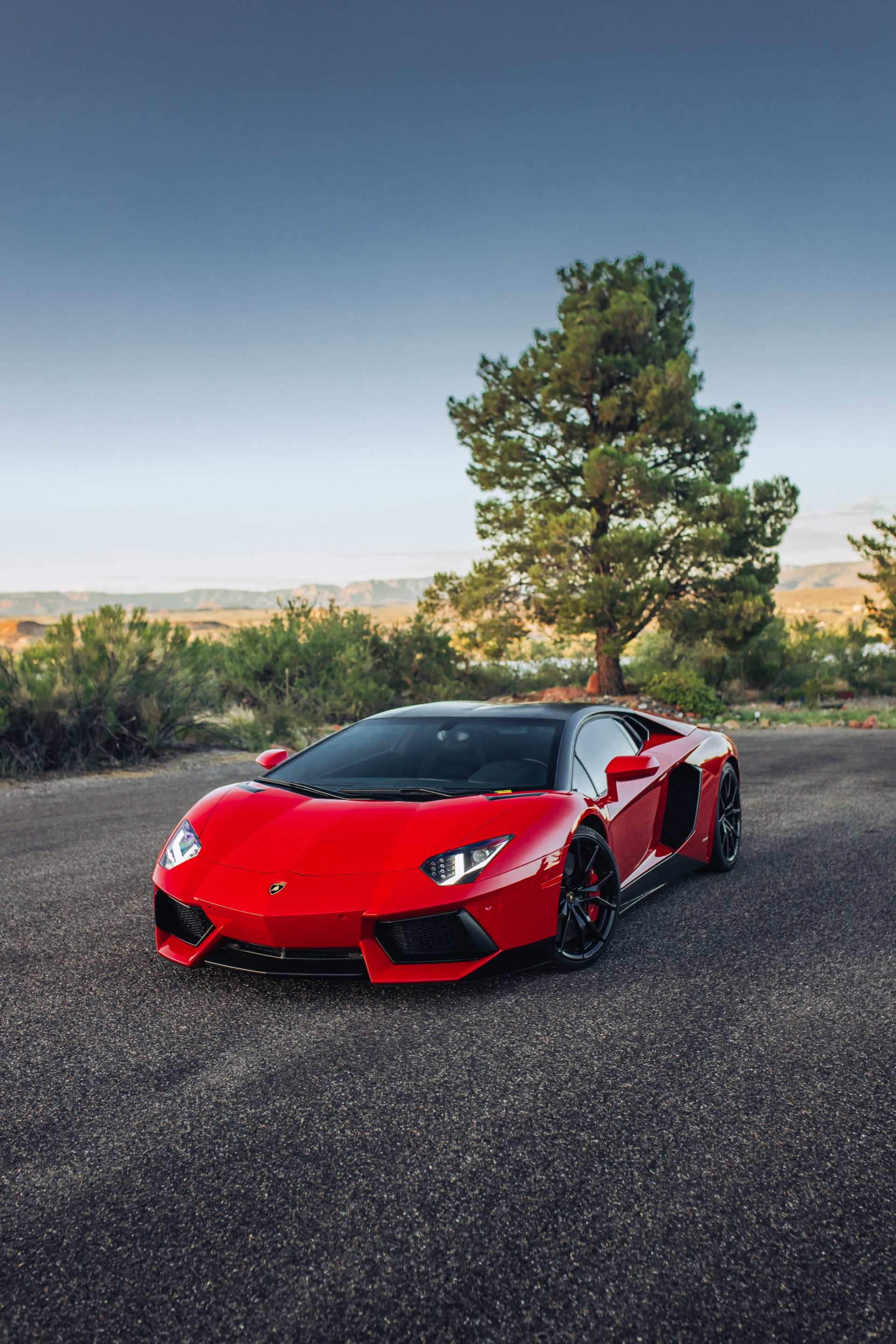 2013 LAMBORGHINI AVENTADOR - Image 5