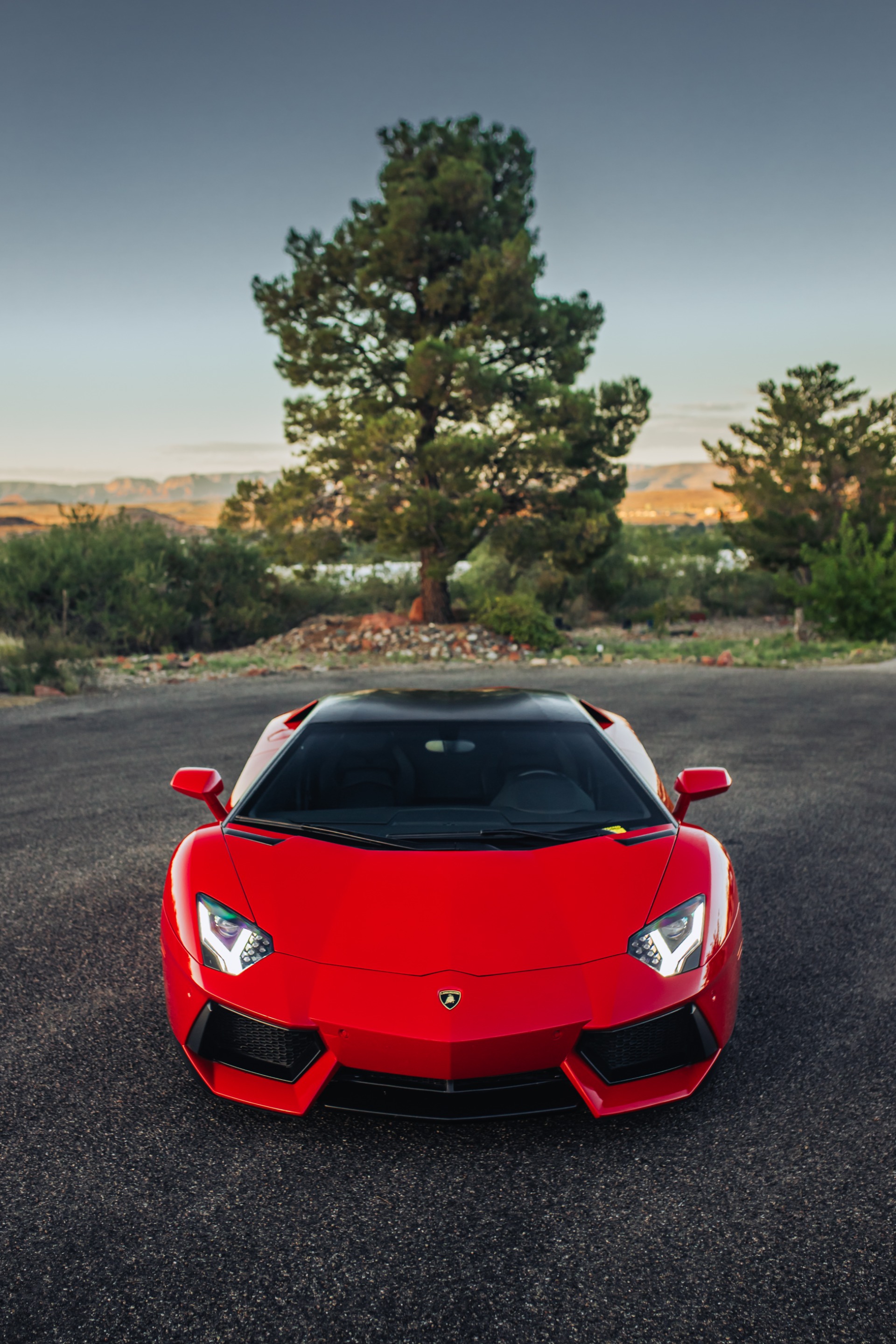2013 LAMBORGHINI AVENTADOR - Image 7