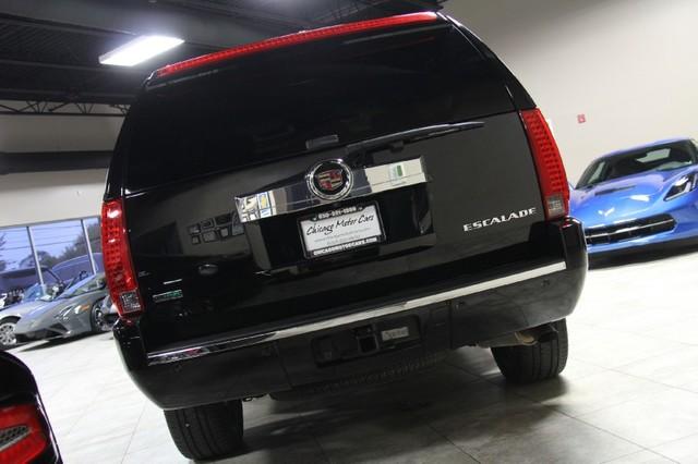 New-2010-Cadillac-Escalade-Luxury