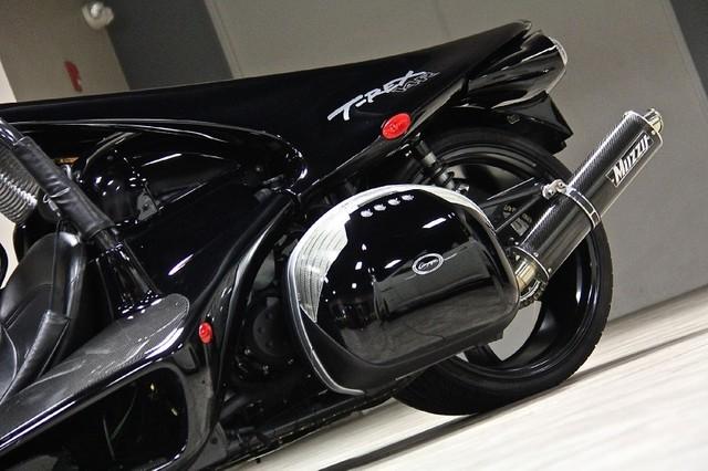 New-2012-Campagna-T-Rex