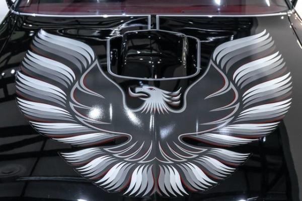 Used 1979 Pontiac Firebird Trans Am for sale Sold at Chicago Motor Cars in West Chicago IL 60185 6