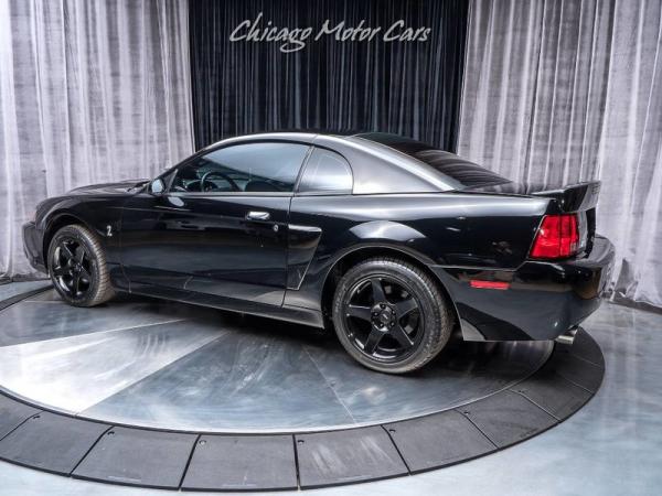 Used 2004 Ford Mustang SVT Cobra *UPGRADES! 650 WHP!* for sale Sold at Chicago Motor Cars in West Chicago IL 60185 3