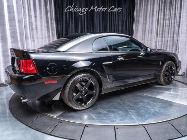 Used 2004 Ford Mustang SVT Cobra *UPGRADES! 650 WHP!* for sale Sold at Chicago Motor Cars in West Chicago IL 60185 5